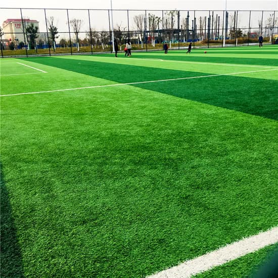 Artificial Grass